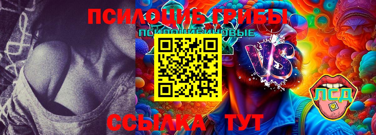 Псилоцибиновые грибы Cubensis  Вход с VPN  Фролово 