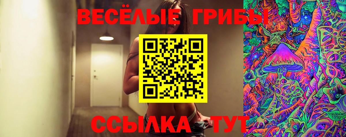 Галлюциногенные грибы Psilocybe Фролово